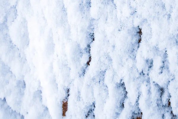 Snow Wood Background — Stock Photo, Image