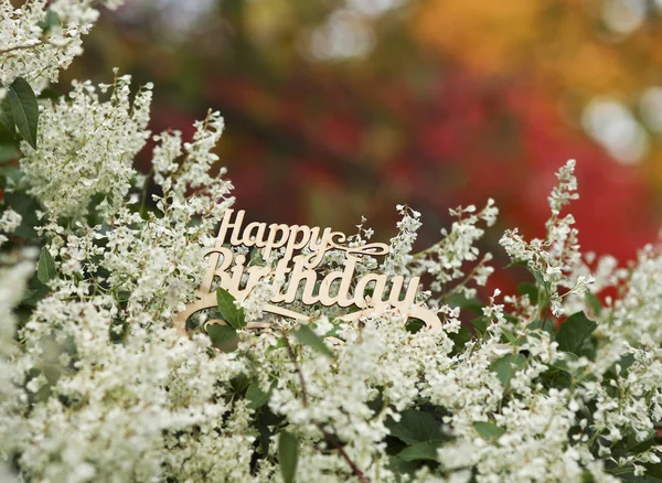 秋の公園での幸せな誕生日 — ストック写真