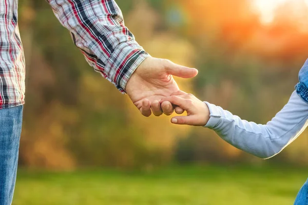 A beautiful hands of parent and child outdoors in the park — Stock Photo, Image