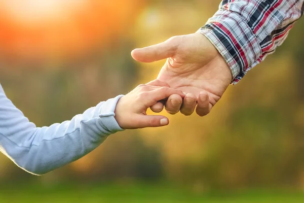 Een prachtige handen van ouder en kind buiten in het park — Stockfoto
