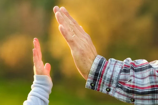 公園の屋外で親と子の美しい手 — ストック写真