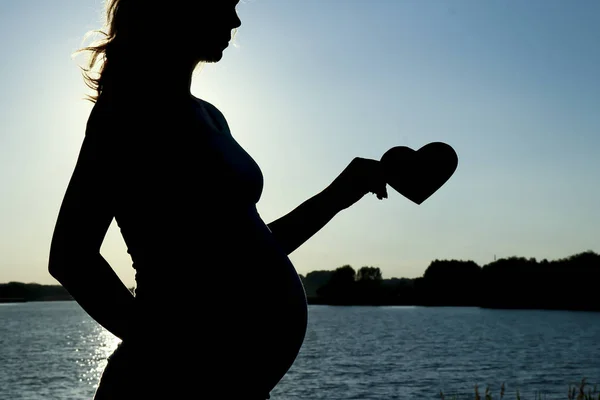 Silhouette of  Pregnant woman — Stock Photo, Image