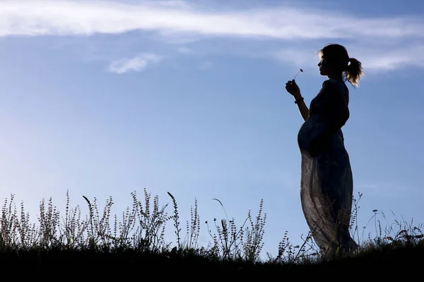 La silueta de la mujer Embarazada por la naturaleza — Foto de Stock