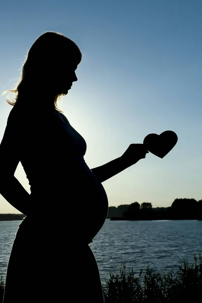 Silhouet van een zwangere vrouw — Stockfoto