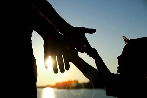 Silhouette родитель держит руку ребенка — стоковое фото