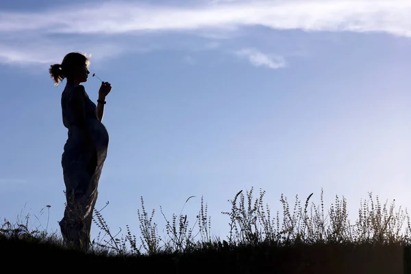 La silueta de la mujer Embarazada por la naturaleza —  Fotos de Stock