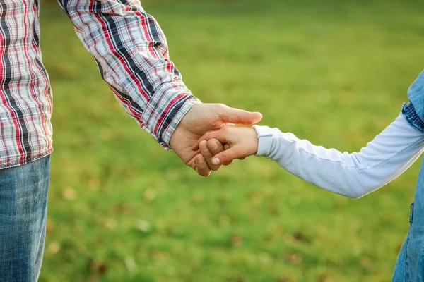 Parkta Ebeveynlerin Çocukların Güzel Elleri — Stok fotoğraf