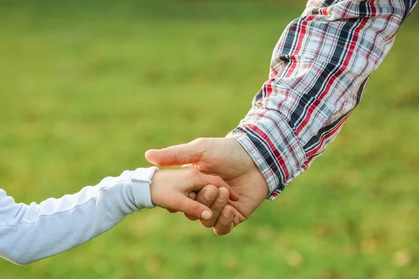 Schöne Hände Von Eltern Und Kind Freien Park — Stockfoto