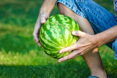parkta doğa üzerinde bir adamın elinde karpuz