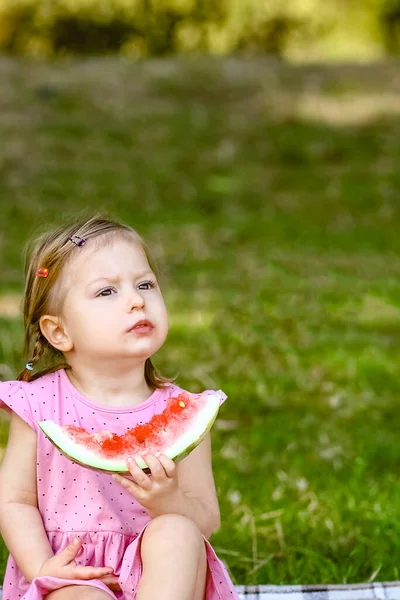 Happy Child Watermelon Nature Park — Stock Photo, Image