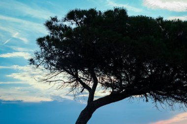 Yunanistan silüetinin arka planına karşı deniz kenarında güzel bir doğa