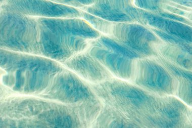 Doğada kıyısı olan güzel bir deniz