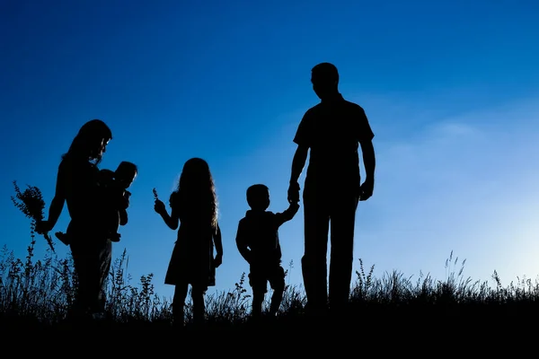 Gelukkige Familie Buitenshuis Het Park Silhouet — Stockfoto