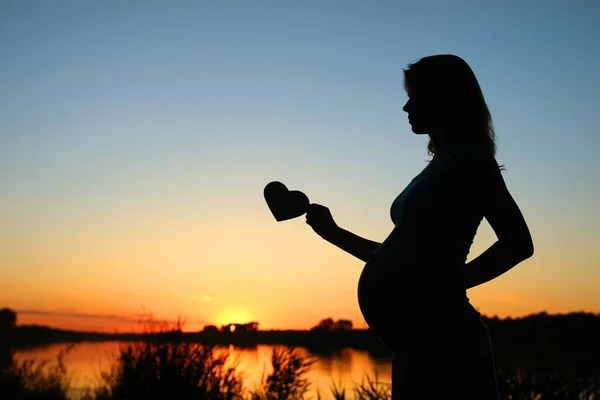 Silueta Mujer Embarazada Por Naturaleza —  Fotos de Stock