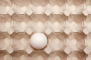 Karton tepside yumurtalar ve tüm yumurtaları taşımak için uygun.