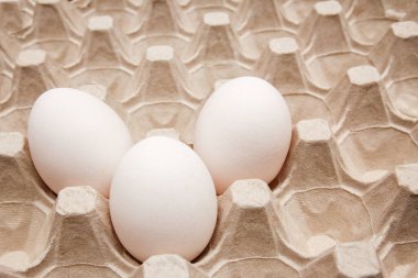 Karton tepside yumurtalar ve tüm yumurtaları taşımak için uygun.