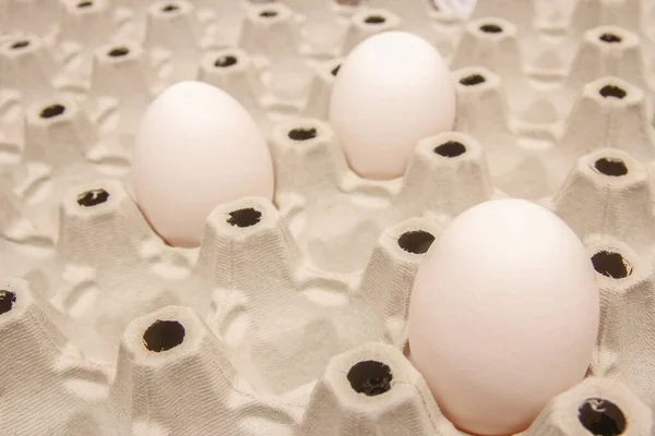 Karton Tepside Yumurtalar Tüm Yumurtaları Taşımak Için Uygun — Stok fotoğraf