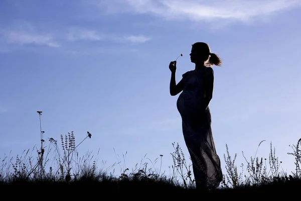 Une Belle Silhouette Femme Enceinte Sur Une Nature — Photo