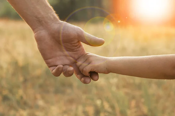 Genitore Tiene Mano Piccolo Chil — Foto Stock