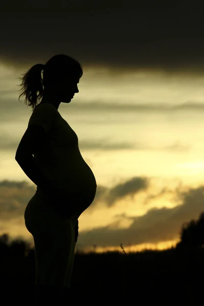 Silhouet Van Zwangere Vrouw Een Natuur — Stockfoto