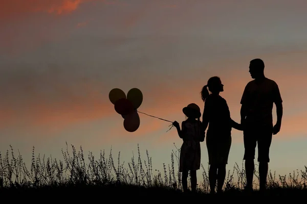 Uma Silhueta Uma Família Feliz Com Crianças — Fotografia de Stock