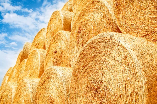 Bales Field Folded Second Use Field Animal Background — Stock Photo, Image