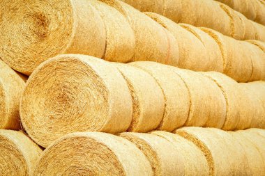 Sahadaki balyalar hayvan arka planında ikinci kullanım için katlanır.