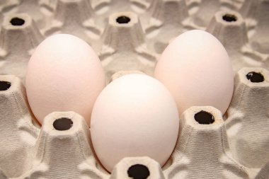 Karton tepside yumurtalar ve tüm yumurtaları taşımak için uygun.