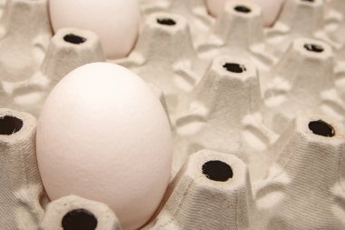 Karton tepside yumurtalar ve tüm yumurtaları taşımak için uygun.