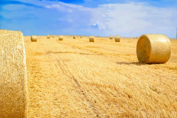 Bales Field Folded Second Use Field Animal Background — Stock Photo, Image