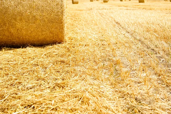 Bales Field Folded Second Use Field Animal Background — Stock Photo, Image