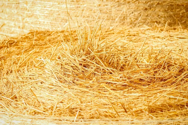 Bales Field Background Straw Ready Animals Field — Stock Photo, Image