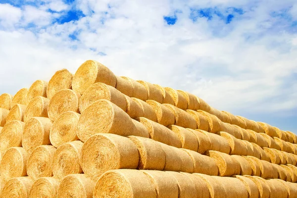 Balen Het Veld Worden Gevouwen Voor Tweede Gebruik Het Veld — Stockfoto