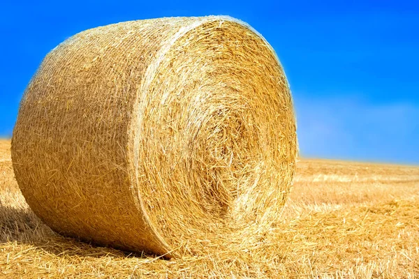 Bales Field Folded Second Use Field Animal Background — Stock Photo, Image