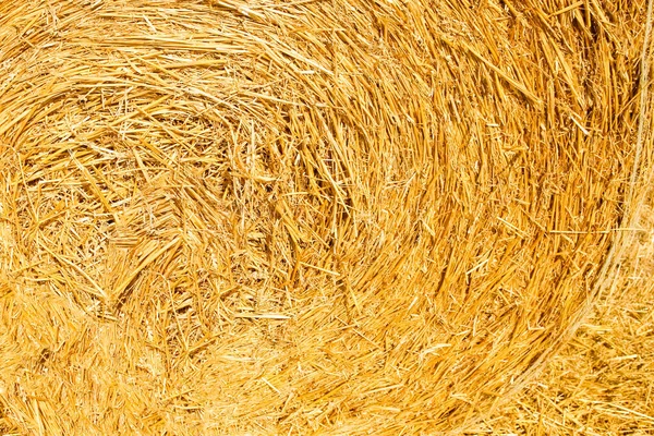 Bales Background Silhouette Cowboy Straw Field Ready Animals Field — Stock Photo, Image