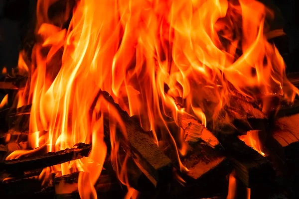 Φωτιά Κάρβουνα Και Φωτιά Στο Φόντο Πικνίκ Της Φύσης Ανάβει — Φωτογραφία Αρχείου