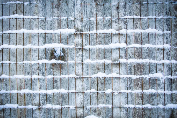 Maschen Winter Auf Die Natur Hintergrund Des Parks — Stockfoto