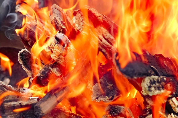 Feuer Mit Kohlen Und Feuer Auf Natur Picknick Hintergrund Brennt — Stockfoto