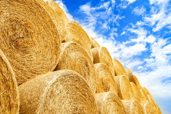 Fardos Campo São Dobrados Para Segunda Utilização Campo Para Fundo — Fotografia de Stock