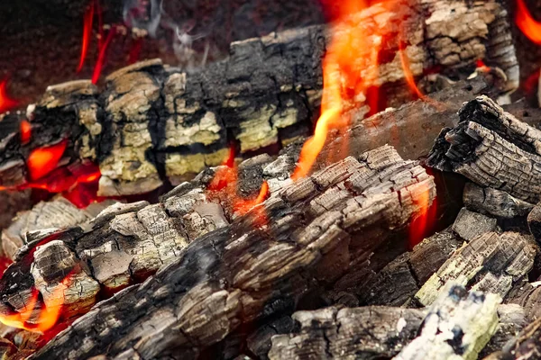 Fuego Con Carbones Fuego Fondo Del Picnic Naturaleza Quema Una — Foto de Stock