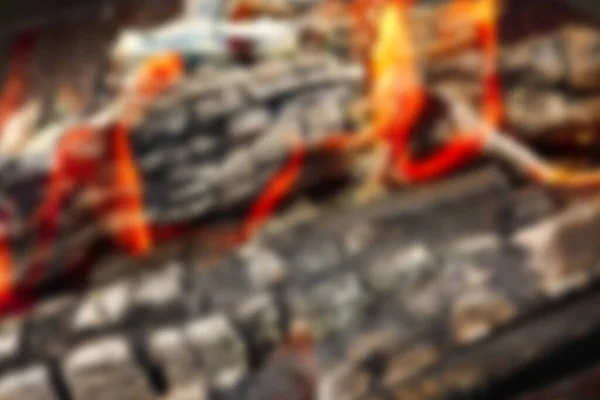 Fire Coals Fire Nature Picnic Background Burns Out Bonfire Food — Stock Photo, Image