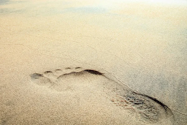 旅行休暇の背景に自然の上の海のビーチによる足跡 — ストック写真