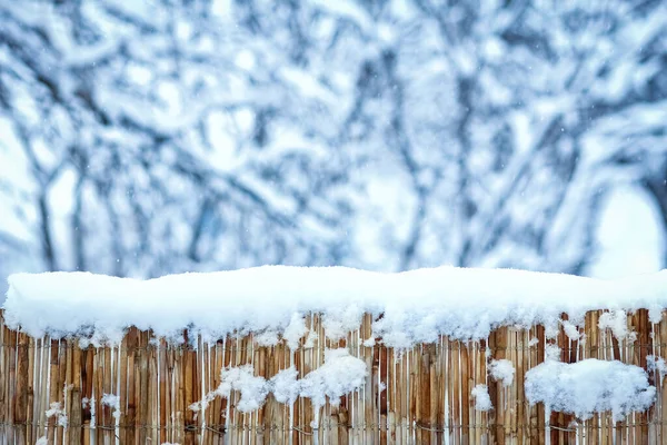 Fence Winter Nature Park Background — Stock Photo, Image