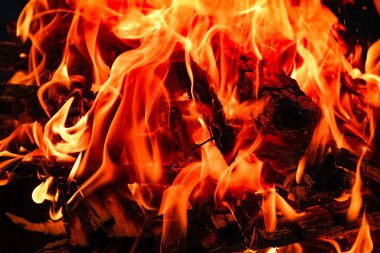 Kömürlü ateş ve doğa pikniğinde ateş. Sokaklarda yemek için şenlik ateşi yakıyor.