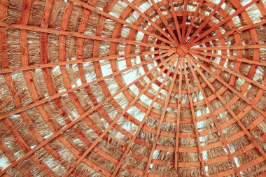 Deniz arka planında güzel bir şemsiye kapağı