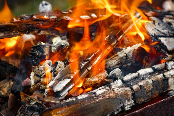 Fire with coals and fire on nature picnic background. Burns out a bonfire for food on the street