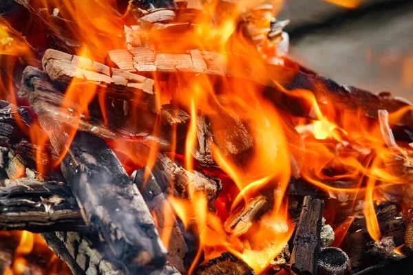 Feuer Mit Kohlen Und Feuer Auf Natur Picknick Hintergrund Brennt — Stockfoto