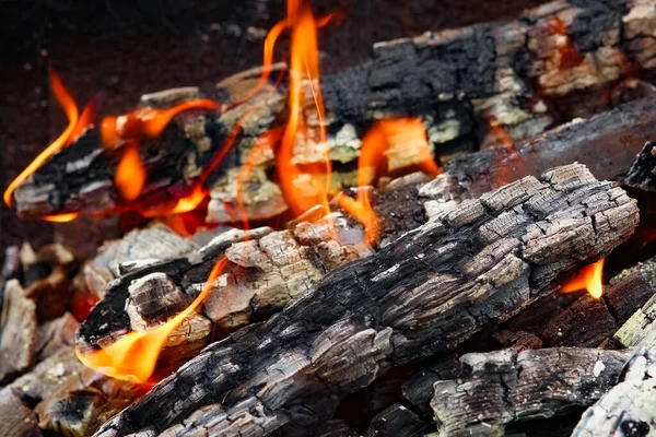 Fuego Con Carbones Fuego Fondo Del Picnic Naturaleza Quema Una — Foto de Stock