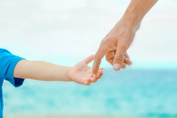 Beautiful Hands Of A Happy Parent And Child By The Sea In Nature Stock Images Page Everypixel
