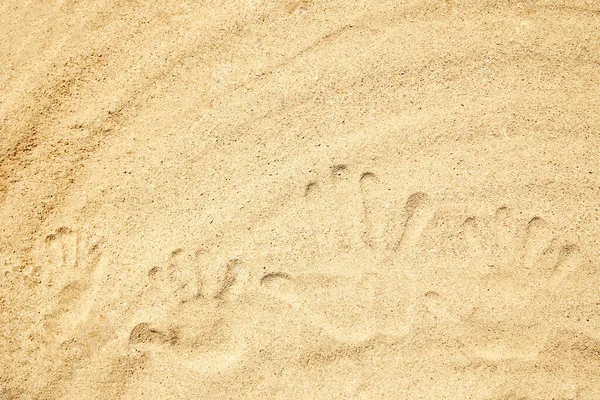 Dessin Dans Sable Près Mer Dans Nature Fond Voyage Dessiné — Photo